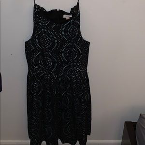 A never worn Calvin Klein dress!